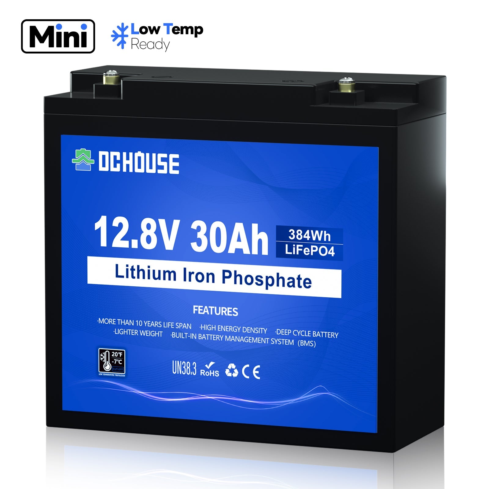 12V 30Ah Deep Cycle LiFePO4 Lithium Low Temp Protection Battery