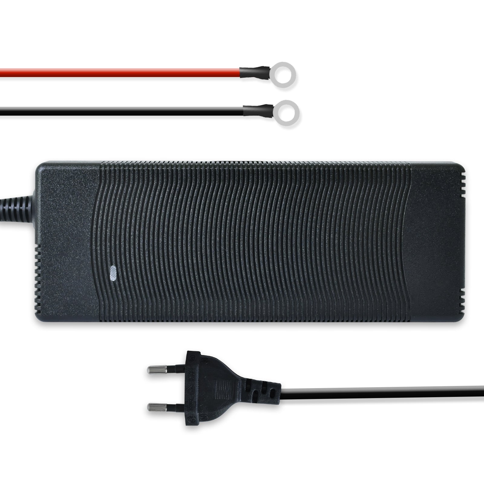 Cargador Portátil de Baterías LiFePO4 de 12V 10A de CA a CC