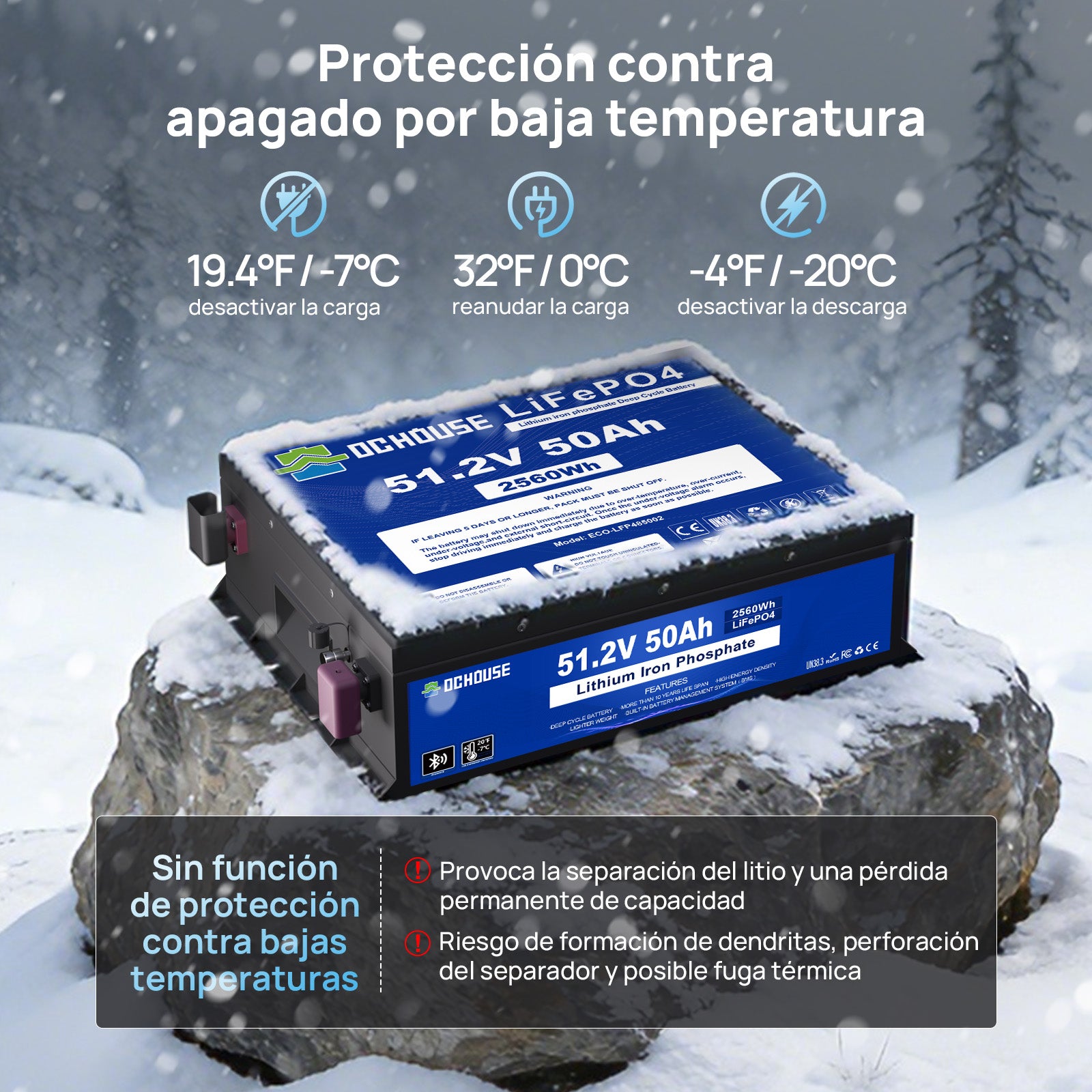 DC HOUSE Batería LiFePO4 Premium 48V 50Ah con Carcasa Metálica y Cargador - Ideal para Carritos de Golf